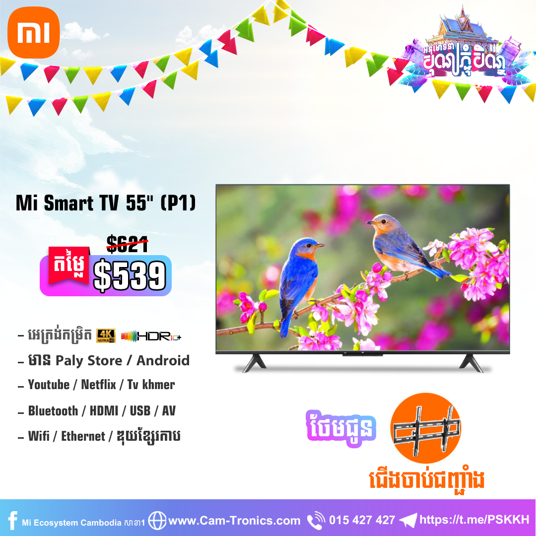 Mi TV 55 inch P1